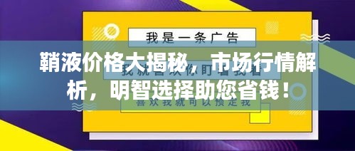 鞘液价格大揭秘，市场行情解析，明智选择助您省钱！