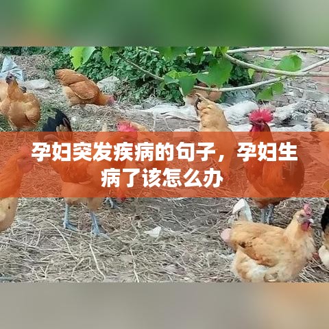 孕妇突发疾病的句子，孕妇生病了该怎么办 