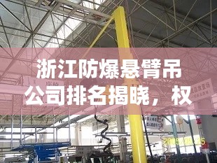 浙江防爆悬臂吊公司排名揭晓，权威榜单，引领行业新标杆！