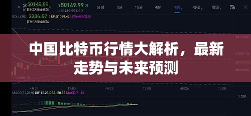 中国比特币行情大解析，最新走势与未来预测
