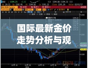 国际最新金价走势分析与观察今日发布