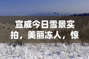 宣威今日雪景实拍，美丽冻人，惊艳瞬间！