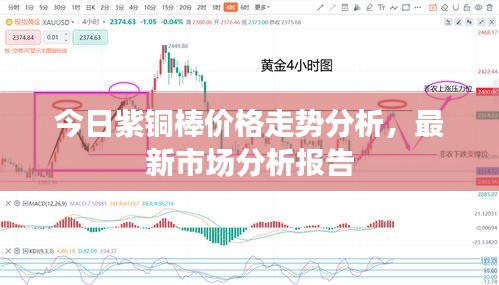 今日紫铜棒价格走势分析，最新市场分析报告