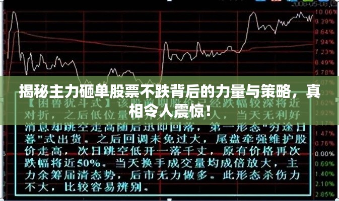 揭秘主力砸单股票不跌背后的力量与策略，真相令人震惊！