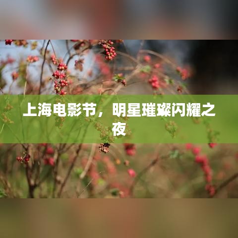 上海电影节，明星璀璨闪耀之夜