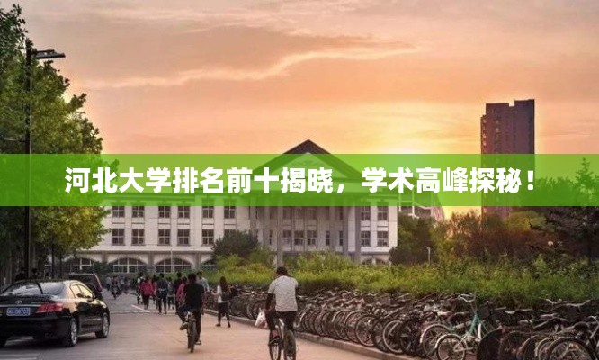 河北大学排名前十揭晓，学术高峰探秘！