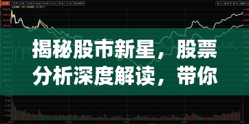 揭秘股市新星，股票分析深度解读，带你洞悉000155股票走势！