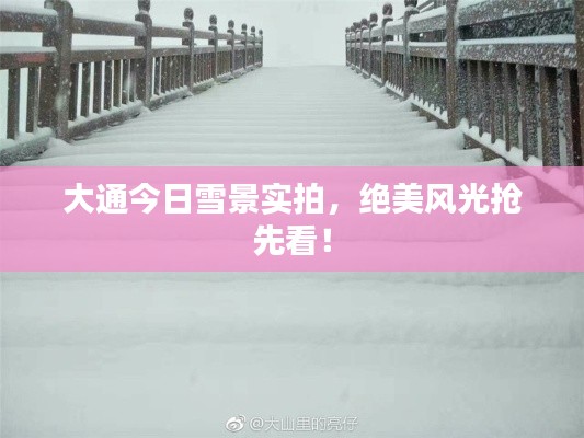 大通今日雪景实拍，绝美风光抢先看！