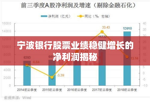 宁波银行股票业绩稳健增长的净利润揭秘