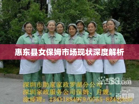 惠东县女保姆市场现状深度解析