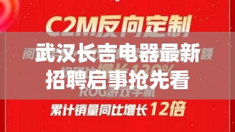 武汉长吉电器最新招聘启事抢先看