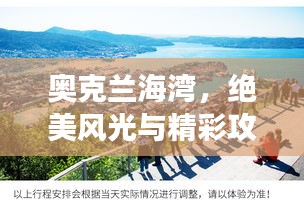 奥克兰海湾，绝美风光与精彩攻略，你的旅行首选！