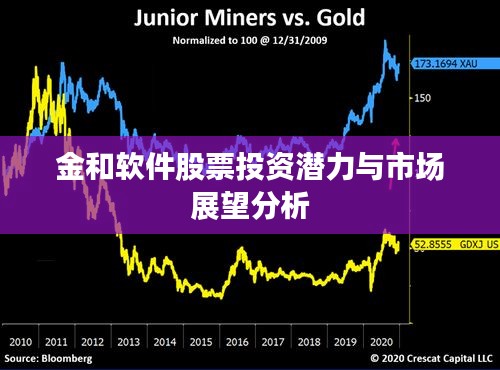 金和软件股票投资潜力与市场展望分析