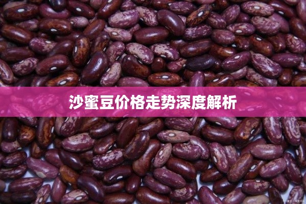 沙蜜豆价格走势深度解析