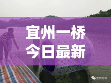 宜州一桥今日最新动态报道