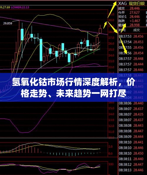 氢氧化钴市场行情深度解析，价格走势、未来趋势一网打尽