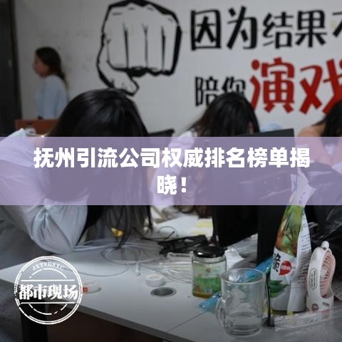 抚州引流公司权威排名榜单揭晓！