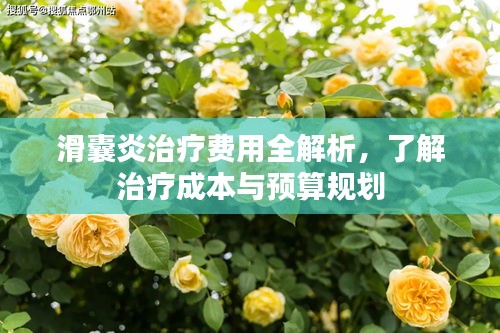 滑囊炎治疗费用全解析，了解治疗成本与预算规划