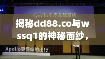 揭秘dd88.co与wssq1的神秘面纱，百度新发现等你来探索