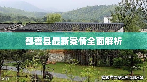 鄯善县最新案情全面解析