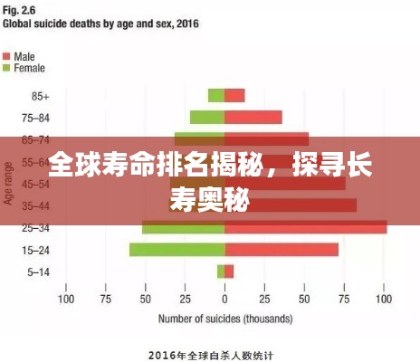 全球寿命排名揭秘，探寻长寿奥秘