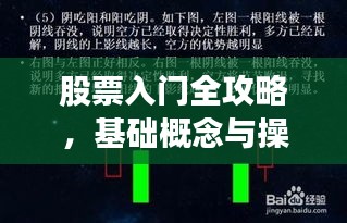 股票入门全攻略，基础概念与操作指南详解