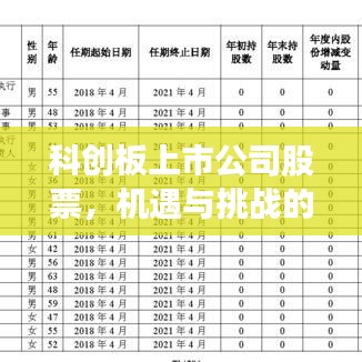 科创板上市公司股票，机遇与挑战的博弈之路