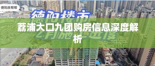 荔浦大口九团购房信息深度解析