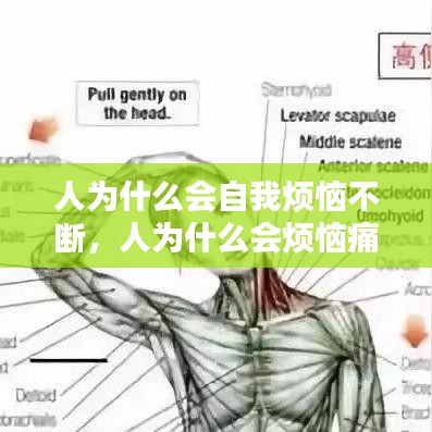 人为什么会自我烦恼不断，人为什么会烦恼痛苦纠结 