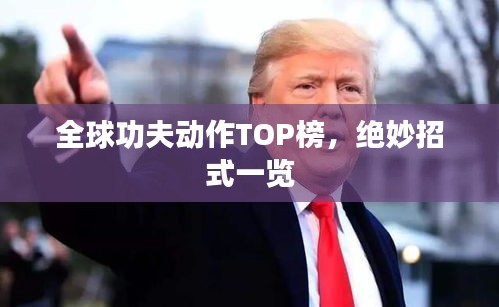 全球功夫动作TOP榜，绝妙招式一览