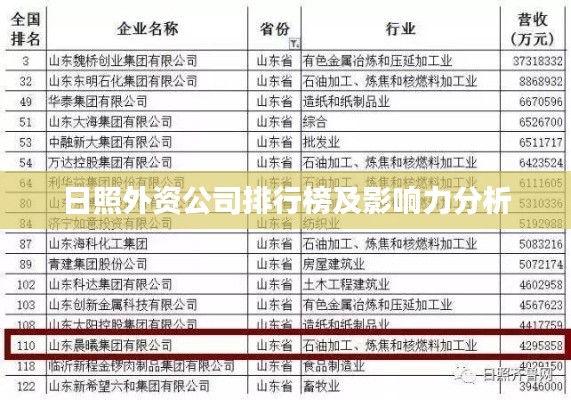 日照外资公司排行榜及影响力分析