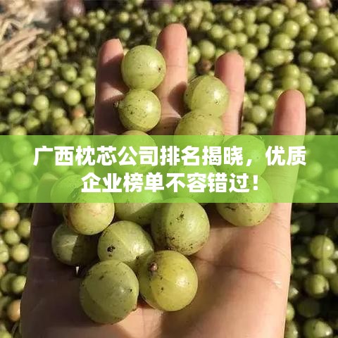 广西枕芯公司排名揭晓，优质企业榜单不容错过！