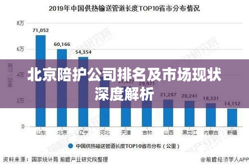 北京陪护公司排名及市场现状深度解析