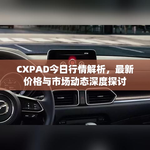 CXPAD今日行情解析，最新价格与市场动态深度探讨