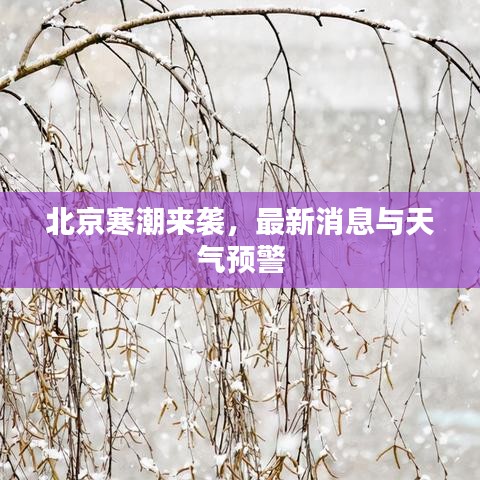 北京寒潮来袭，最新消息与天气预警