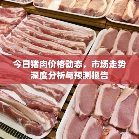 今日猪肉价格动态，市场走势深度分析与预测报告