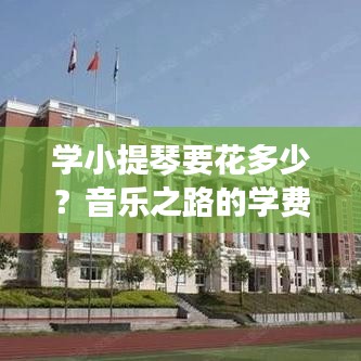 学小提琴要花多少？音乐之路的学费大揭秘