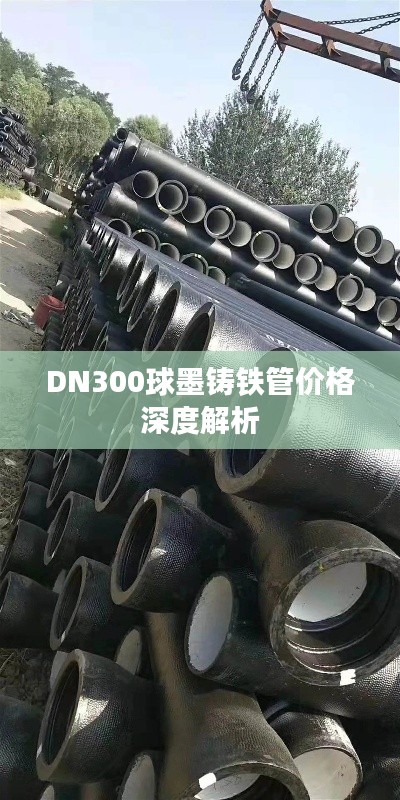 DN300球墨铸铁管价格深度解析