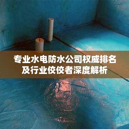 专业水电防水公司权威排名及行业佼佼者深度解析