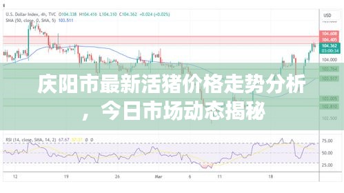 庆阳市最新活猪价格走势分析，今日市场动态揭秘