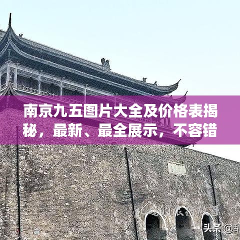 南京九五图片大全及价格表揭秘，最新、最全展示，不容错过！