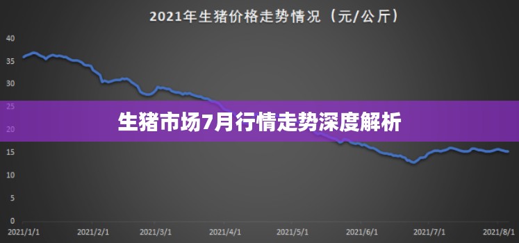 2025年2月20日 第8页