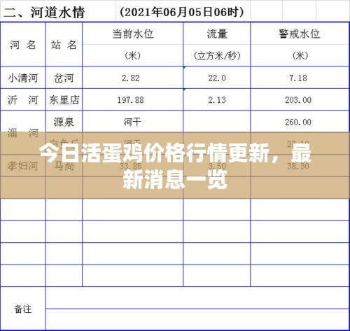 今日活蛋鸡价格行情更新，最新消息一览