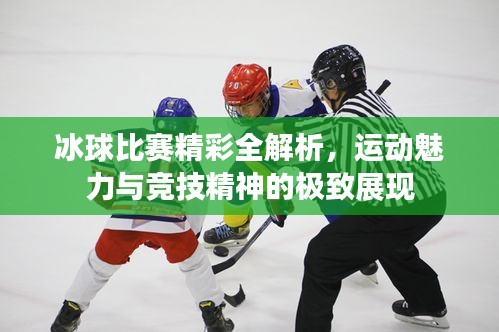 冰球比赛精彩全解析，运动魅力与竞技精神的极致展现