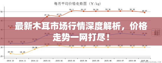 最新木耳市场行情深度解析，价格走势一网打尽！