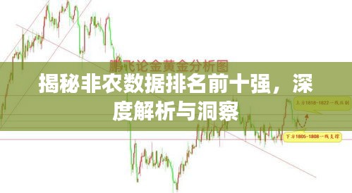 揭秘非农数据排名前十强，深度解析与洞察