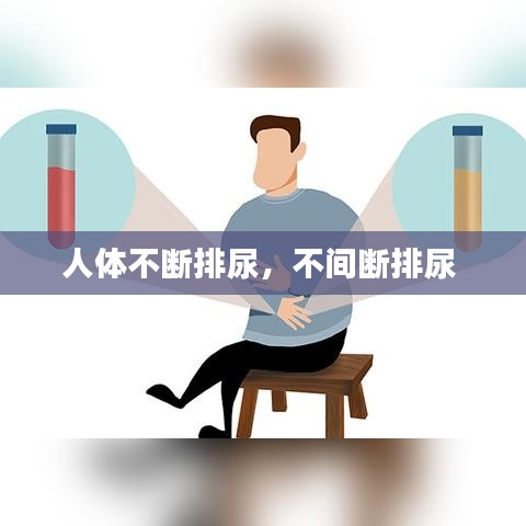 人体不断排尿，不间断排尿 