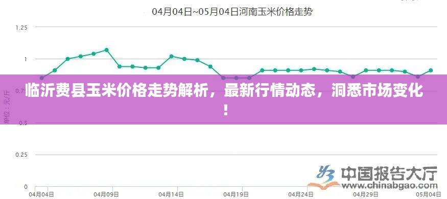 临沂费县玉米价格走势解析，最新行情动态，洞悉市场变化！