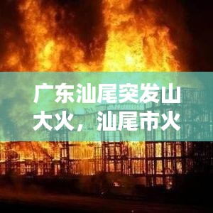 广东汕尾突发山大火，汕尾市火灾事故 