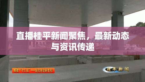 直播桂平新闻聚焦，最新动态与资讯传递